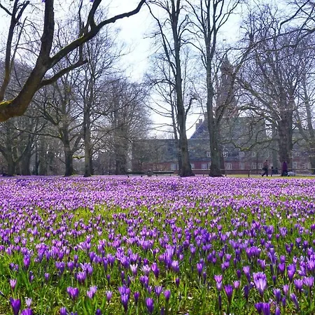 Apartamento Moderne Küstenbutze #1 Im Beach-style *