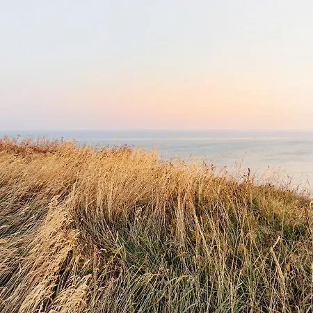 Moderne Kuestenbutze #1 Im Beach-style アパート Mildstedt