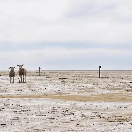 Moderne Küstenbutze #1 Im Beach-style Apartamento Mildstedt