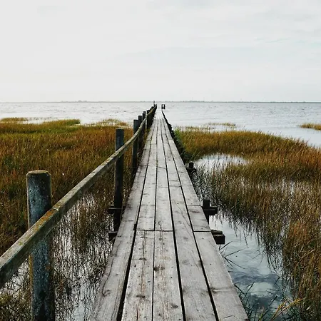 Moderne Kuestenbutze #1 Im Beach-style