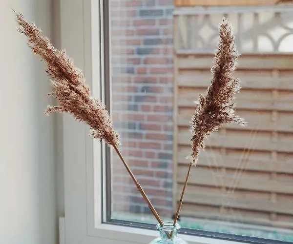 Moderne Kuestenbutze #1 Im Beach-style Appartement *